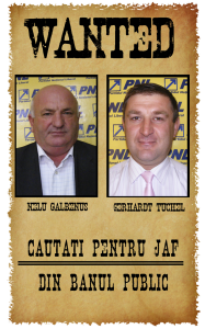 Gălbenuş si Ţuchel Gălbenuş si Ţuchel