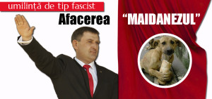 slide maidanezu fara click